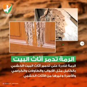 مكافحة الرمة بجميع انواعه مع الضمان
