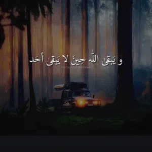 ayob 