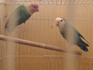 زووججج منتججج