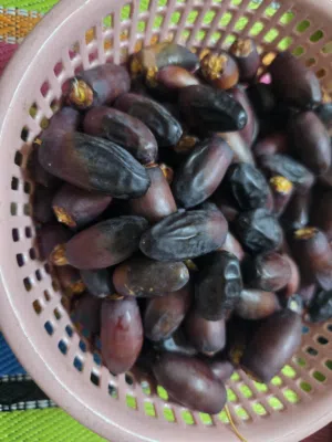يتوفر معي رطب وتمور