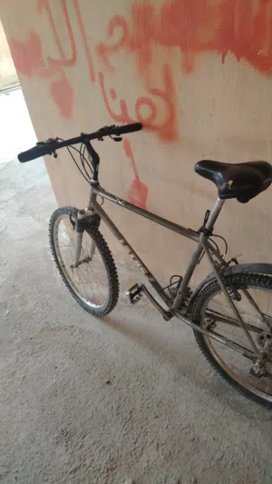 بسكليت امريكي للبيع