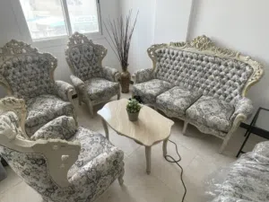 كراسي وكنب طقم ضيوف للبيع guest area chairs and sofs for sale