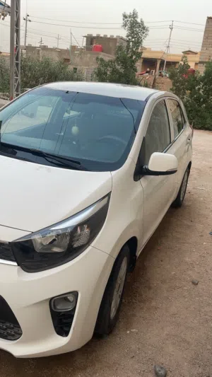 كيا بيكانتو 2019