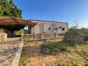 Mixed Use Land for Sale in Tripoli Wadi Al-Rabi
