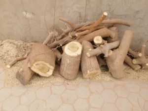 خشب للبيع شجره توتا