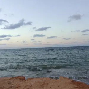 وليد الشريف