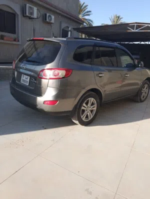 New Hyundai Santa Fe in Misrata