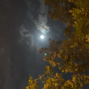 بدر 