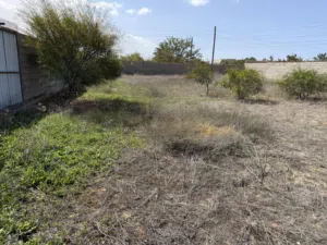 Mixed Use Land for Rent in Tripoli Janzour