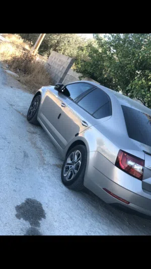 سكواد 2019