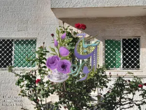 ستديو للإيجار (سكن طلاب) مدخل جامعة البترا طريق المطار البنيات مقابل كلية لومينوس