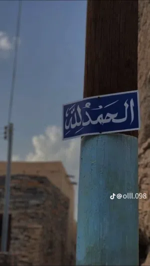 محمود عبد النور 