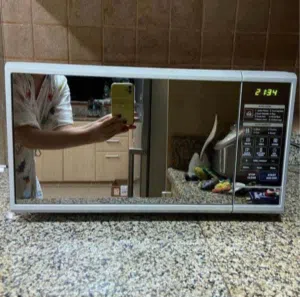 microwave oven