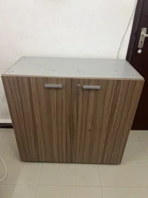 2-Door wooden storage Cabinet