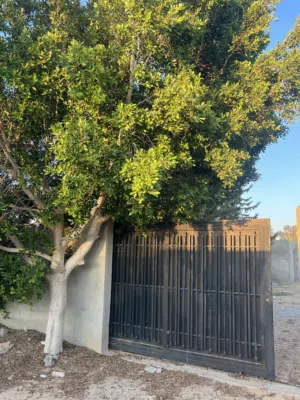 Residential Land for Sale in Tripoli Tajura