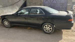 مارك بصره مديل 1993