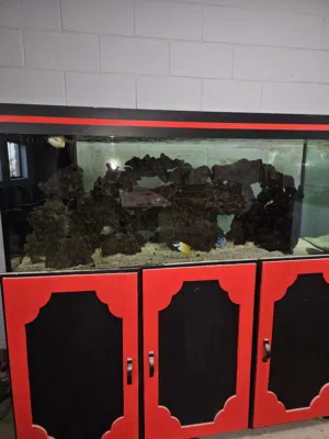 Saltwater fish tank comes with everything including 5 fish and stand