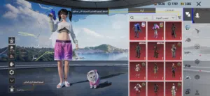 حساب ببجي ب 20