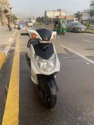 سلام عليكم سكنس فحل طلاعات