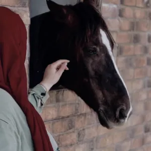 ساجده عمر محمد طنينه 