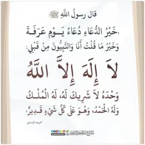 ياسين حوض 