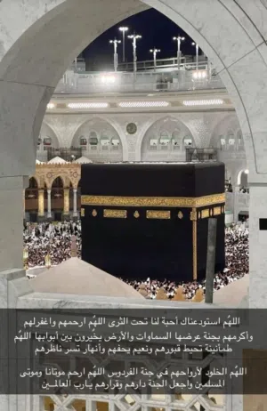 مصطفى عبدالله 