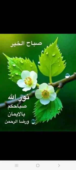 بيع وشركة نشاطه اللطباعه وانشرا للبي