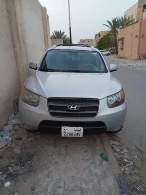 هيواندي سنتافي 2008