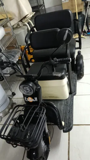 electric bike