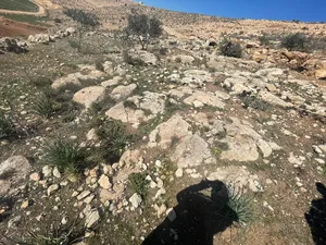 Mixed Use . 264 m2 . Landlord2