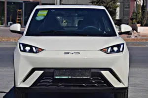 BYD SEAGULL FLYING 2024