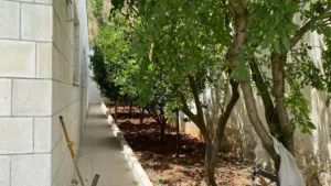 فيلا مستقلة في منطقة صويلح/الحمّر للبيع- 14068