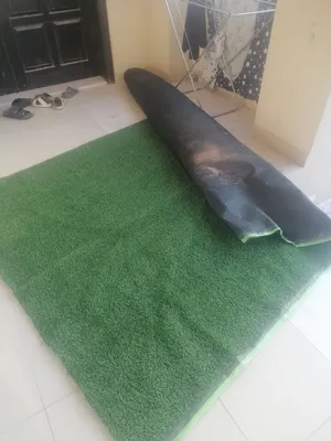 Carpets . New3