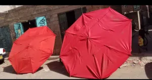 جميع مظلات الخضروات والفواكه والمقاوته