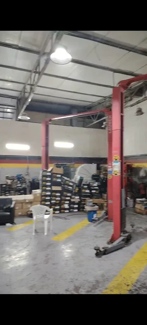 Yearly . 100 m23