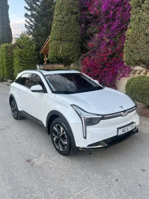 Used Neta U in Irbid