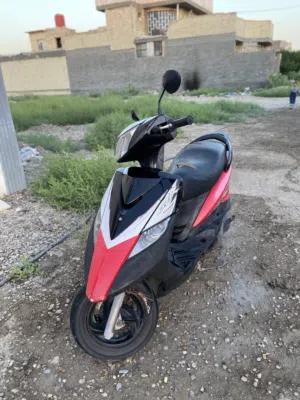 ثعلب مال رمبة