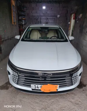 BYD دسترويال