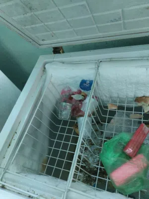 مجمده كيلون 14 قدم