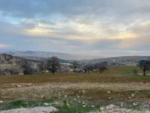 Farm Land for Sale in Zarqa Al-Alouk