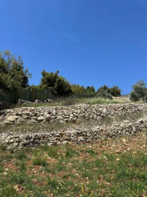 Farm Land for Sale in Jerash Sakib