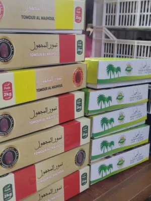 تمور المجهول والفقوس المغربية