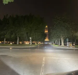 محمد 