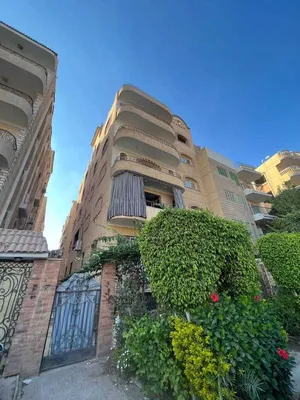 5+ floors . 217 m2 . Agent1