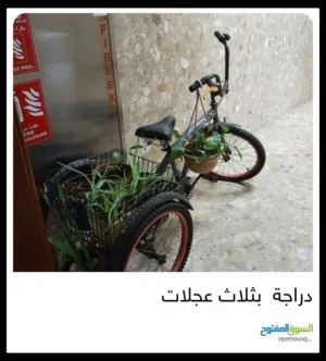 دراجة بثلاث عجلات