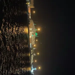 عدي إبراهيم الدروشي 