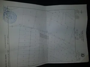 Farm Land for Sale in Amman Swelieh