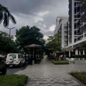 cars sale 