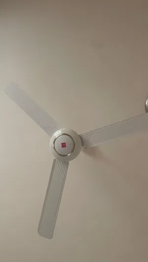 Ceiling fan