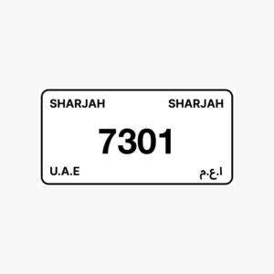 shj 7301 code 3